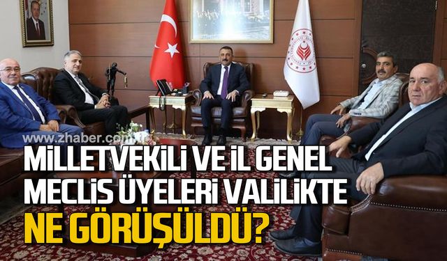 Milletvekili Bozkurt ve İl Genel Meclis üyeleri Vali Hacıbektaşoğlu ile ne görüştü?