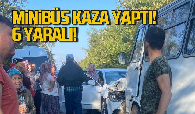 Alaplı'da minibüs kaza yaptı! 6 yaralı!