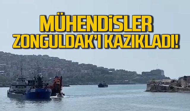 "Mühendisler Zonguldak'ı kazıkladı"