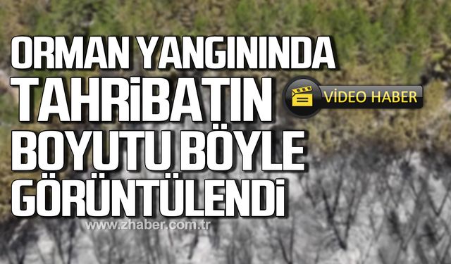 Karabük'te orman yangını tahribatı havadan böyle görüntülendi!