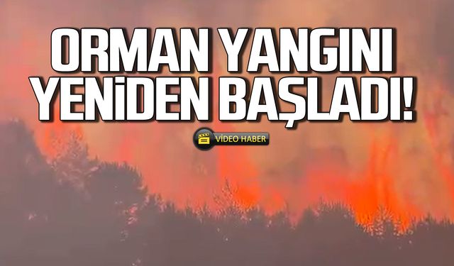 Gerede'de büyük orman yangını!