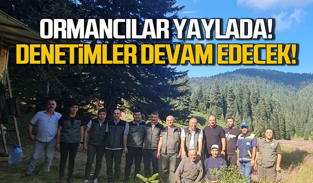 Ormancılar Turna Yaylası'nda! Denetimler devam edecek!