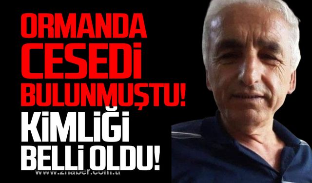 Devrek'te ormanda cesedi bulunmuştu! Kimliği belli oldu!