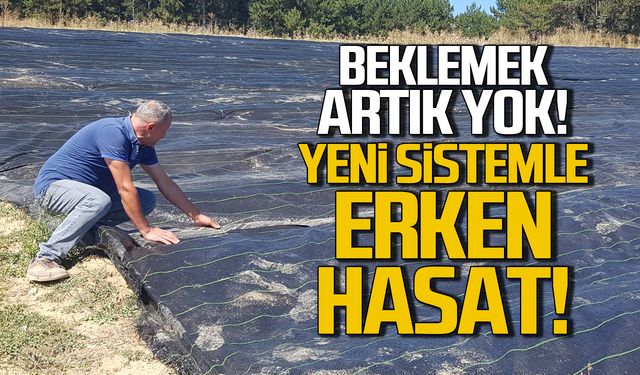 Yeni sistemle ürünler erken hasat edilebilecek!