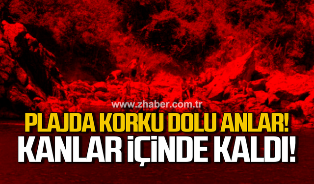 Değirmenağzı Plajı'nda korku dolu anlar! Kanlar içinde kaldı!