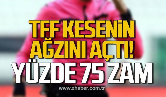 Hakem ve gözlemcilere yüzde 75 zam geldi!