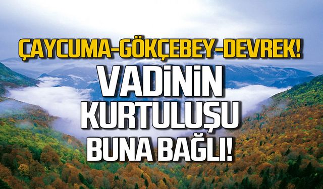 Çaycuma-Gökçebey-Devrek! Vadinin kurtuluşu buna bağlı!