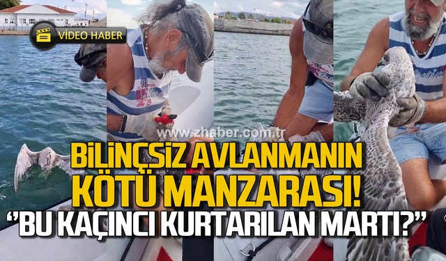 Bilinçsiz avlanmanın sonucu! Martıyı yelken kulübü yöneticileri kurtardı!