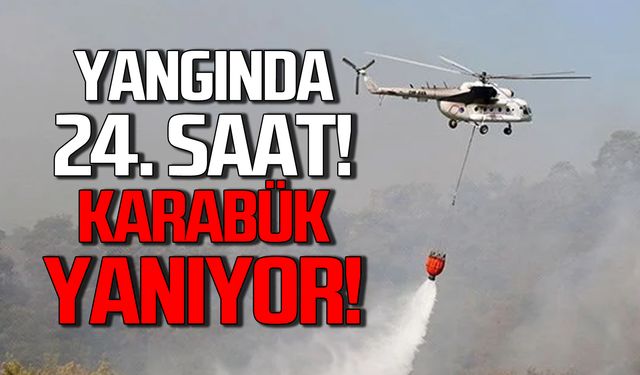 Yangında 24. saat! Karabük yanıyor!