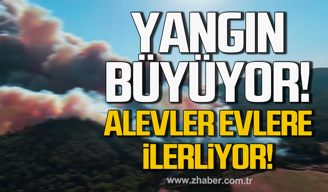 Kilimli'de yangın büyüyor! Alevler evlere ilerliyor!