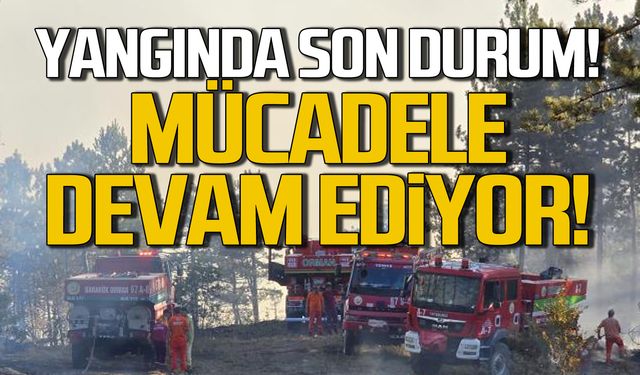 Karabük'te orman yangında son durum! Mücadele devam ediyor!