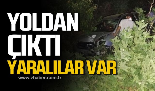 Alaplı'da araç yoldan çıktı! Yaralılar var!