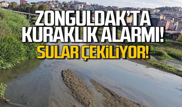 Zonguldak Alaplı'da kuraklık alarmı! Sular çekiliyor!