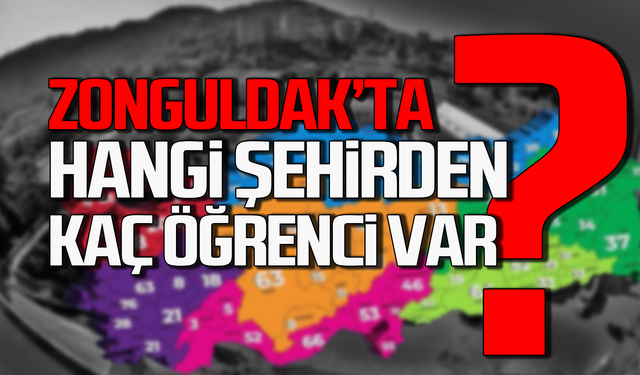 Zonguldak'a hangi şehirden kaç öğrenci geldi?