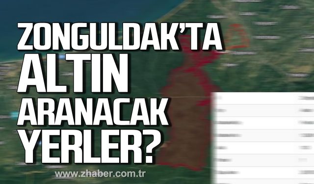 Zonguldak'ta altın aranacak bölgeler ve köyler?