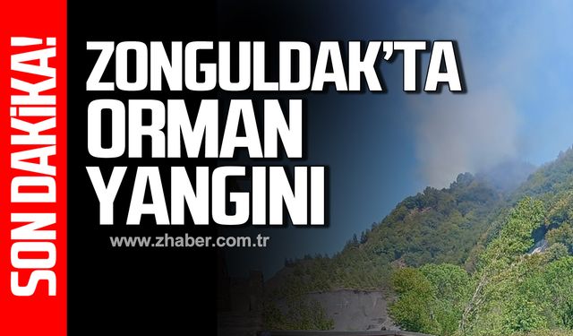 Zonguldak'ta orman yangını!