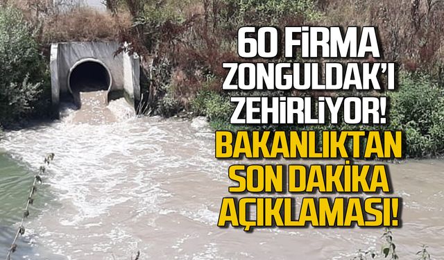 60 firma Zonguldak'ı zehirliyor! Bakanlıktan son dakika açıklaması!