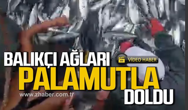 Bartın'da balıkçı ağları palamutla doldu