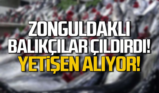 Zonguldaklı balıkçılar çıldırdı! 4 tanesi 100 TL!