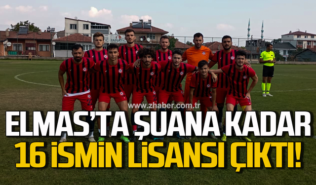 Elmas’ta şuana kadar 16 ismin lisansı çıktı!