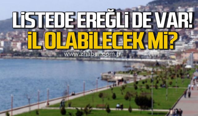 TÜİK açıkladı! Kdz. Ereğli il olabilecek mi?