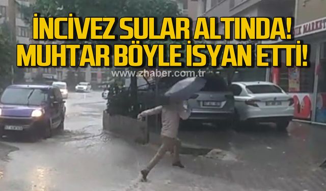 Zonguldak İncivez sular altında! Muhtar böyle isyan etti!