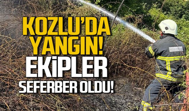 Kozlu'da yangın! İtfaiye seferber oldu!