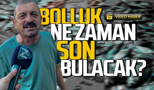 Palamut bolluğu devam ediyor! Ne zaman son bulacak?