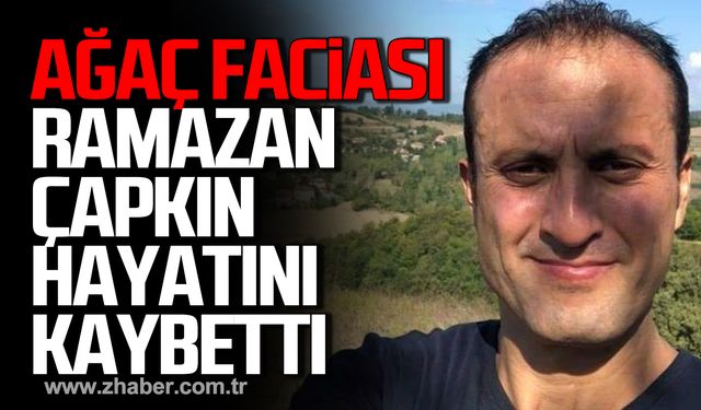 Bartın'da ağaç faciası! Ramazan Çapkın hayatını kaybetti!