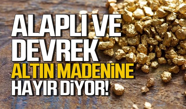 Alaplı ve Devrek Altın Madenine hayır diyor!