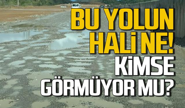 Bu yolun hali ne! Kimse görmüyor mu?