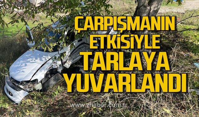 Devrek'te otomobil tarlaya yuvarlandı! 1 yaralı