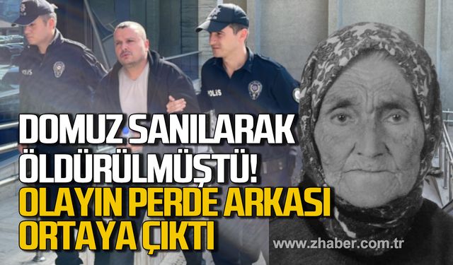 Zonguldak'ta Senem Çakır domuz sanılarak öldürülmüştü! Olayın perde arkası ortaya çıktı!