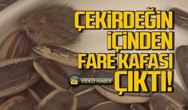 Şok! Amigo çekirdeğin içinden fare kafası çıktı!