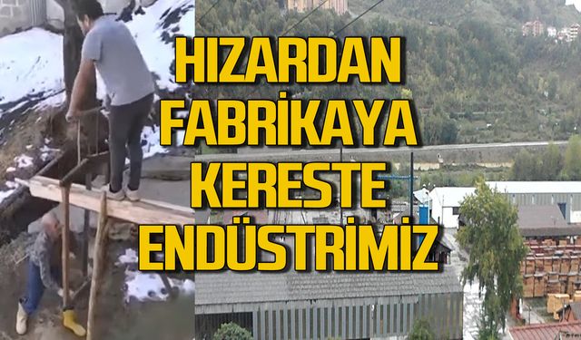 HIZARDAN FABRİKAYA KERESTE ENDÜSTRİMİZ