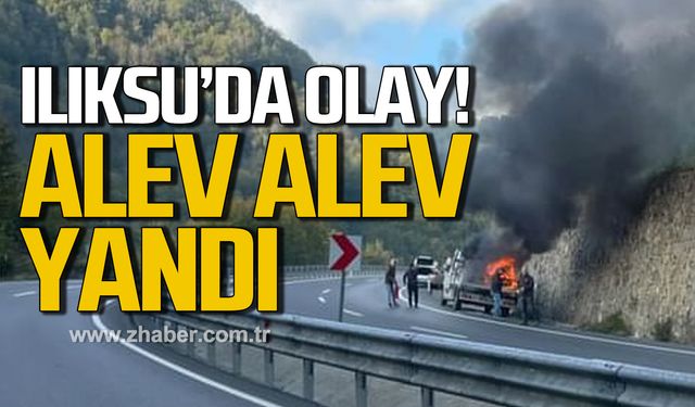 Ilıksu'da olay! Alev alev yandı!