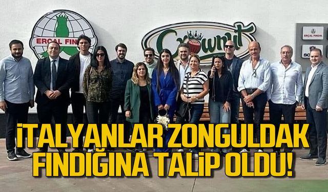 İtalyanlar Zonguldak fındığına talip oldu!