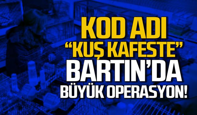 Kod adı 'KUŞ KAFESTE' Bartın'da büyük operasyon!