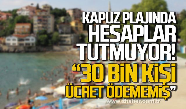 Kapuz Plajında hesaplar tutmuyor! "30 bin kişi ücret ödememiş"