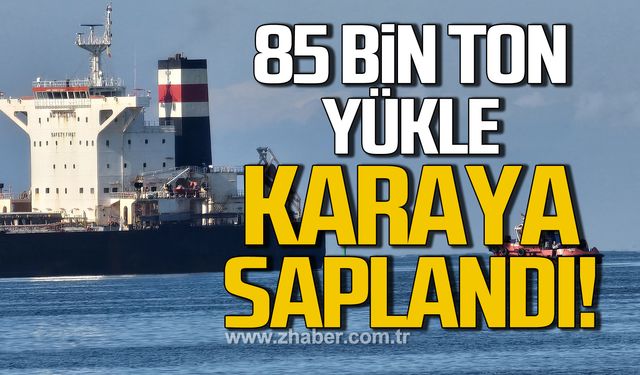 Limana yanaşırken karaya saplandı!