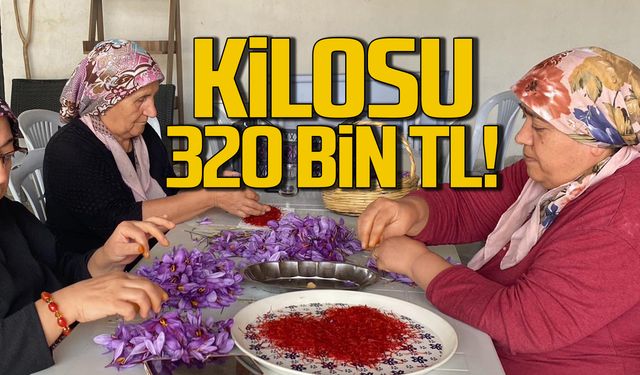 Çiçek açtı! Safranın kilosu 320 bin TL!