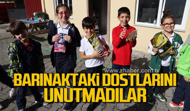 Minikler, barınaktaki dostlarını unutmadılar