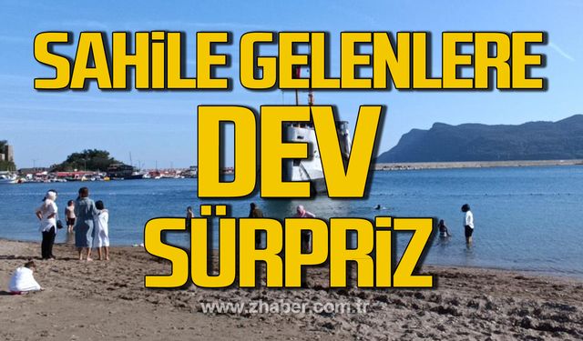 Amasra'da sahile gelenlere dev vapur sürprizi