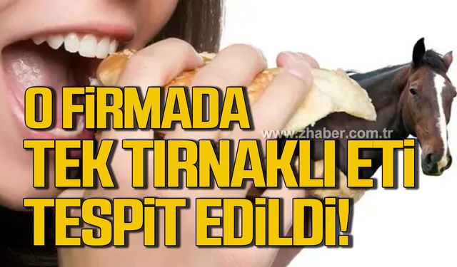 Zonguldak'ta yemek üretim tesisinde tek tırnaklı etine rastlandı