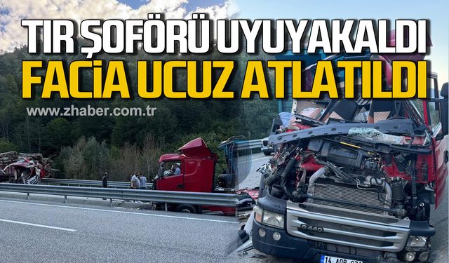 Tır şoförü uyuyakaldı! Facia ucuz atlatıldı!