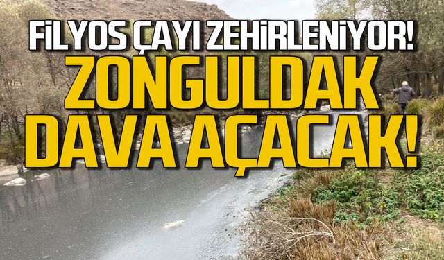 Filyos Irmağı'nın zehirlenmesinde Zonguldaklılar dava açacak!