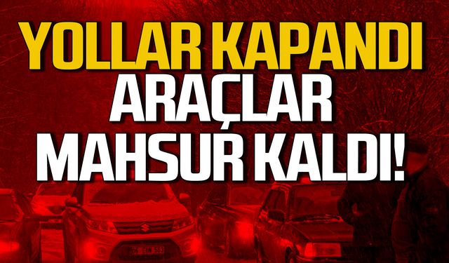 Zonguldak-Ankara ve Zonguldak-İstanbul yolunda araçlar yolda kaldı!