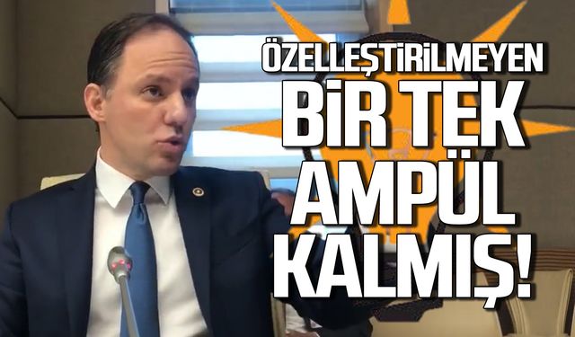 Yavuzyılmaz'dan özelleştirme tepkisi "Bir tek ampül kaldı"