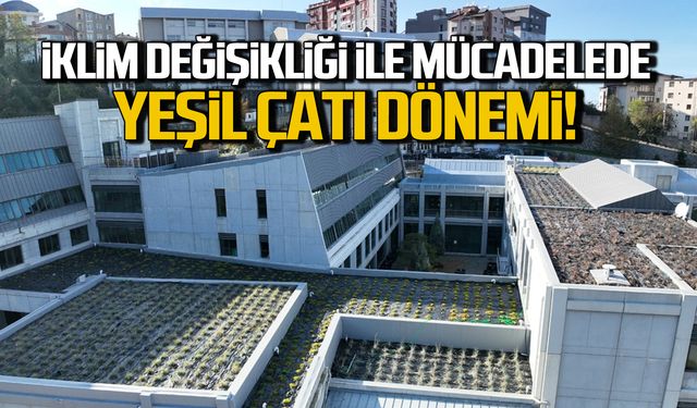 İklim değişikliği ile mücadelede BEUN'den yeşil çatı dönemi!