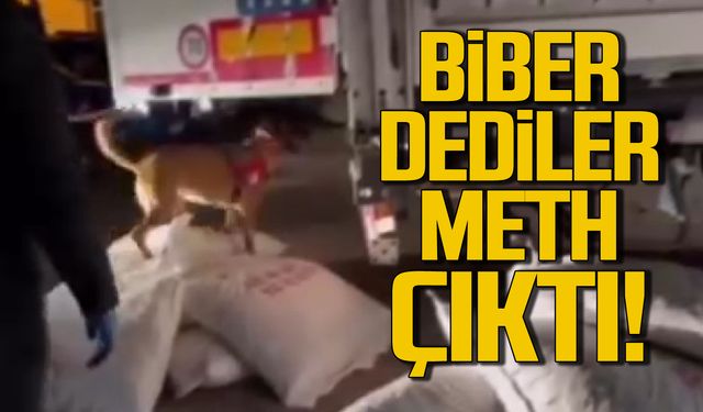 Biber dediler TIR'da saklanmış meth çıktı!